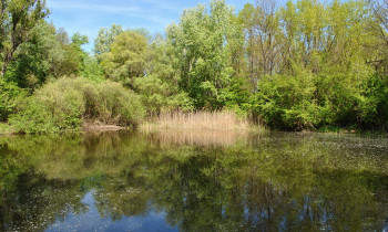 BROZ - Číčov oxbow lake