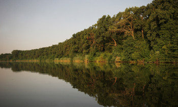 Jaroslav Pap / Vojvodinašume - The Danube River in Serbia