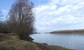 Attila Komlós / Duna-Dráva National Park - Danube River in Béda Karapancsa area