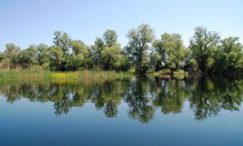 Alina Codreanu / Danube Delta Biosphere Reserve Authority - Channel in the Danube Delta