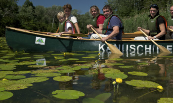 Kovacs / Donau-Auen National Park - Canoe excursion