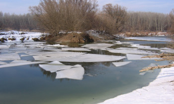 Baumgartner / Donau-Auen National Park - Oxbow in winter