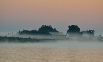 Christian Mititelu / Danube Delta Biosphere Reserve Authority - Fog in the Danube Delta