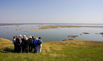 Daniel Petrescu / Danube Delta Biosphere Reserve Authority - Guided excursion in the Danube Delta