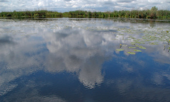 Alina Codreanu / Danube Delta Biosphere Reserve Authority - Lake in the Danube Delta