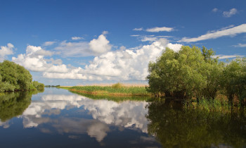 Daniel Petrescu / Danube Delta Biosphere Reserve Authority - Channel in the Danube Delta