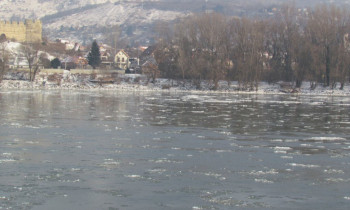 Steiner / Donau-Auen National Park - Danube in winter