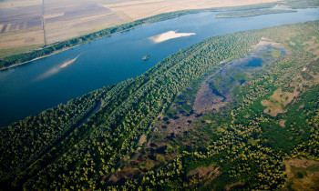 Persina Nature Park - Dead swamp beside the Danube River