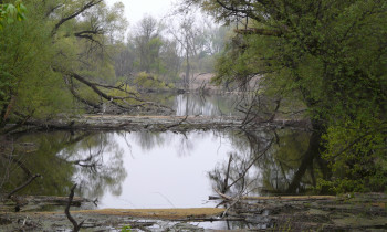 Andrej Kovarík / BROZ - Morava River