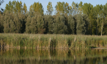 Éva Horváth / Duna-Dráva National Park - Boki Danube