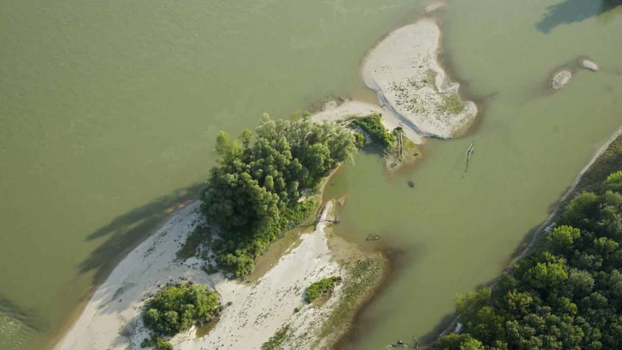 WILDislands at the Austrian Ramsar meeting