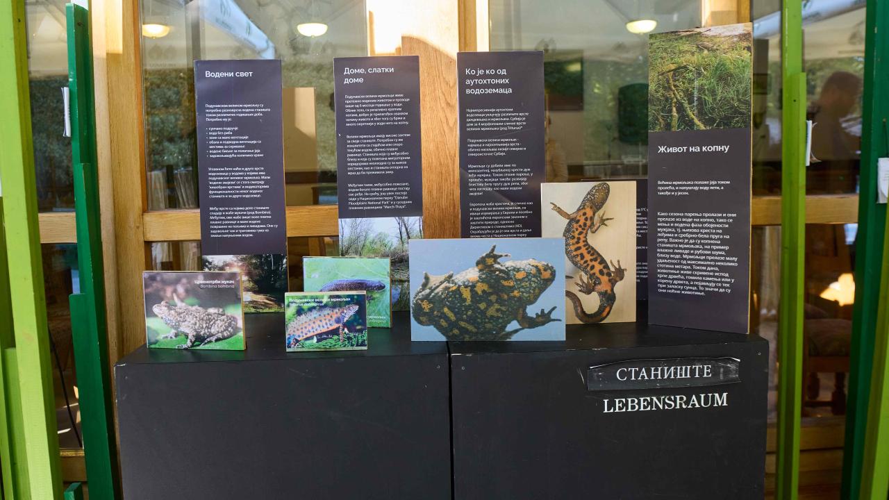 "Welcome to the Empire of the Endangered Water Dragons “ exhibition at the celebration of 150 Years of the Obedska Bara Special Nature Reserve