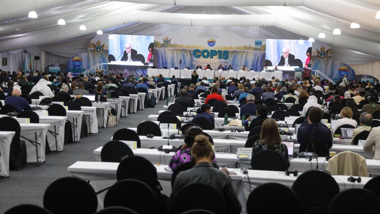 DANUBEPARKS at the COP15 of the Convention on Wetlands