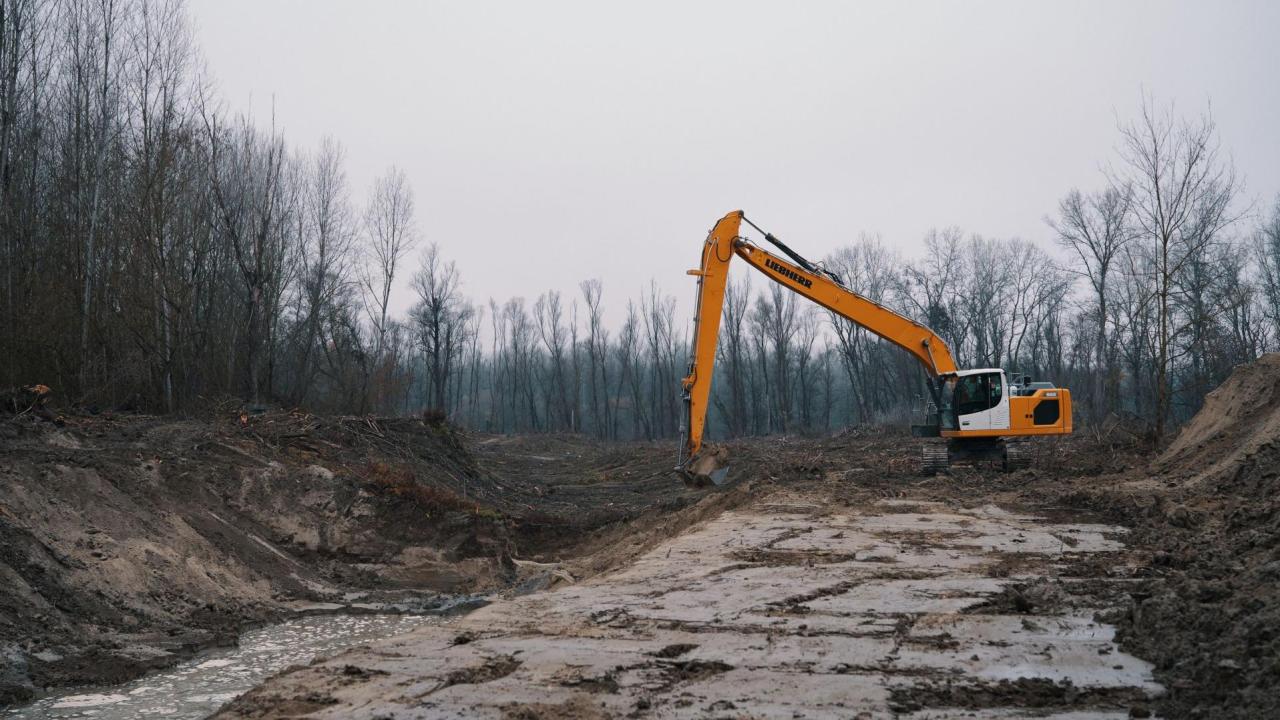 LIFE WILDisland: Restoration start in Gornje Podunavlje, Serbia