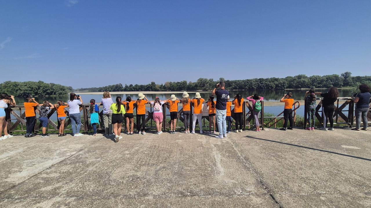 Persina4Danube: A community-driven step forward for wetland conservation