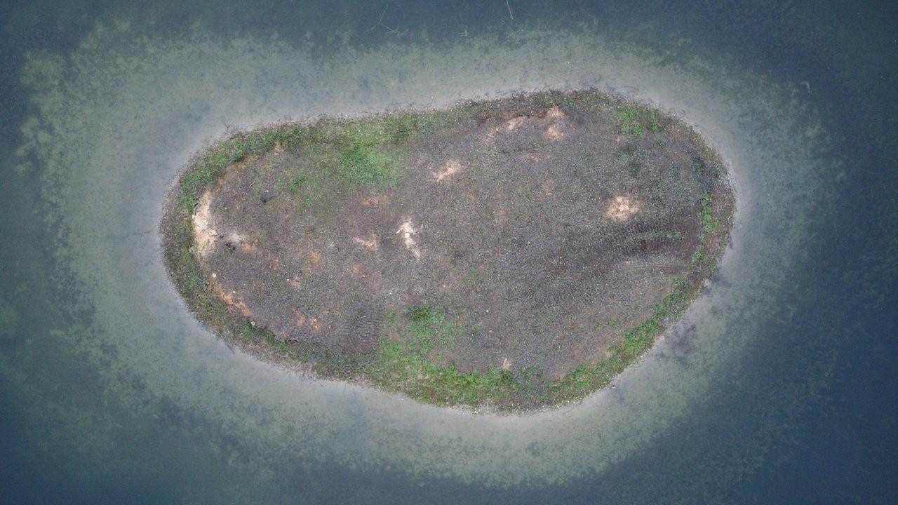 RRI-1: Creation of a Breeding Island for Sterna hirundo