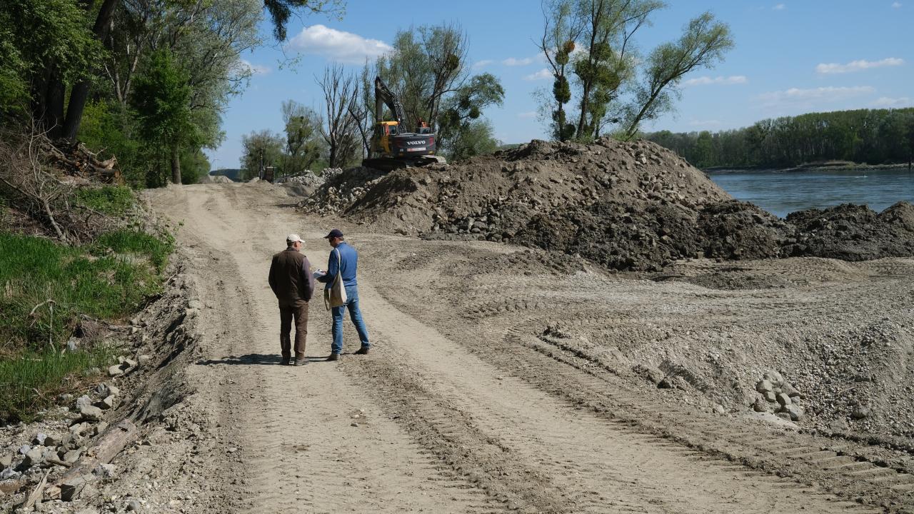 DANUBE4all: DANUBEPARKS President Visits Paradeisinsel Restoration Site