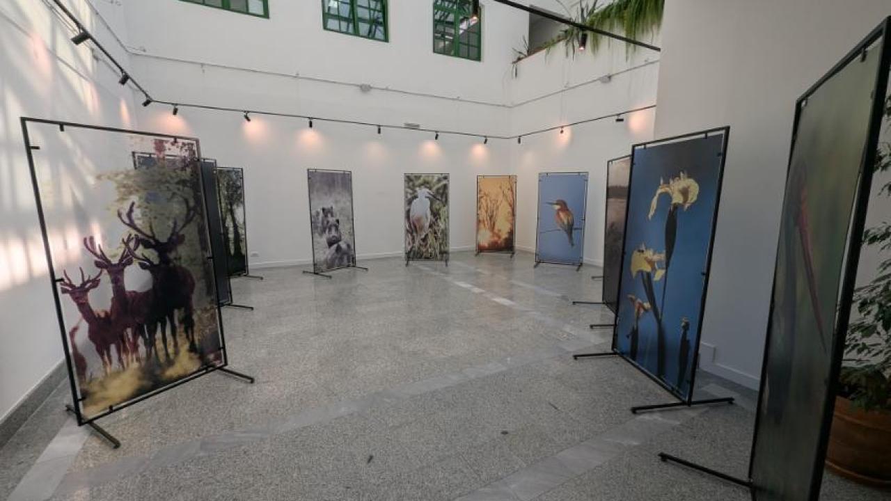 Travelling Exhibition on Gornje Podunavlje Opens in Novi Sad