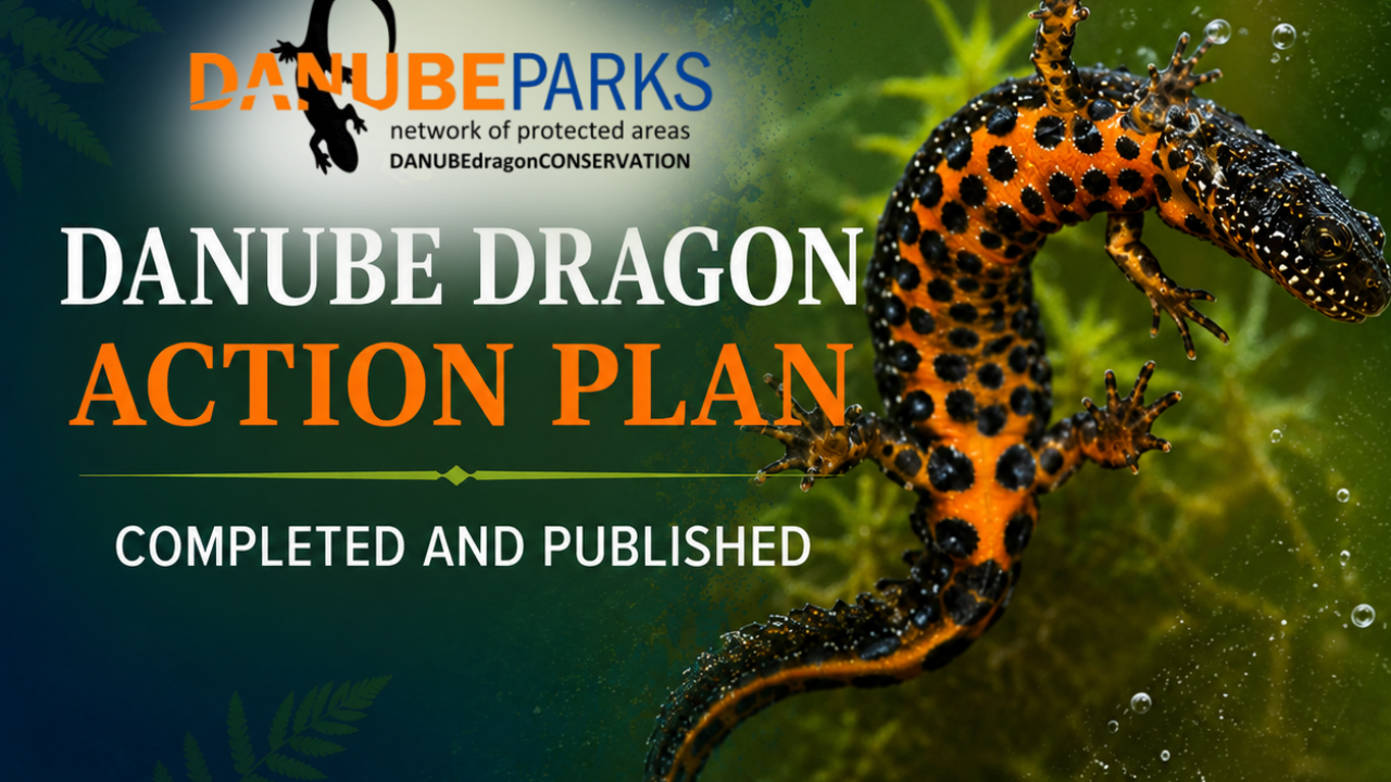 The Danube Dragon Action Plan Is Now Published