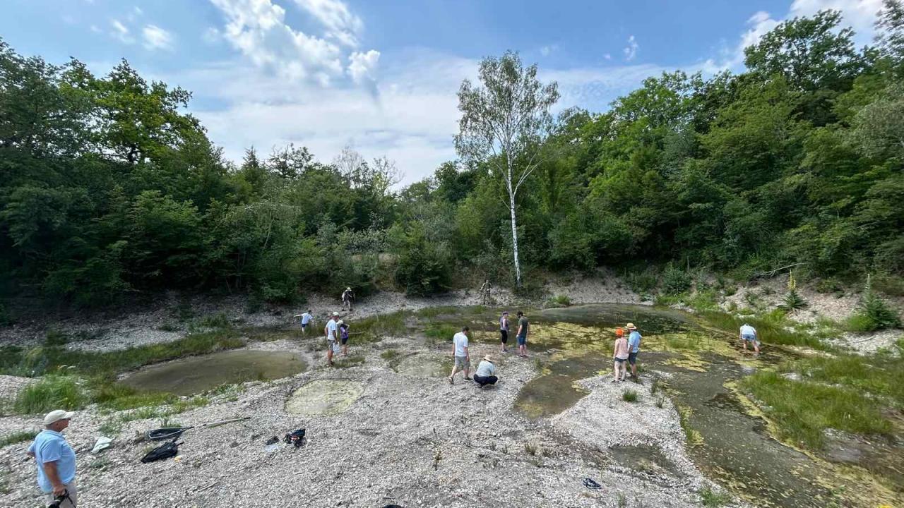 Internationa Danube Day 2026 in Neuburg-Ingolstadt