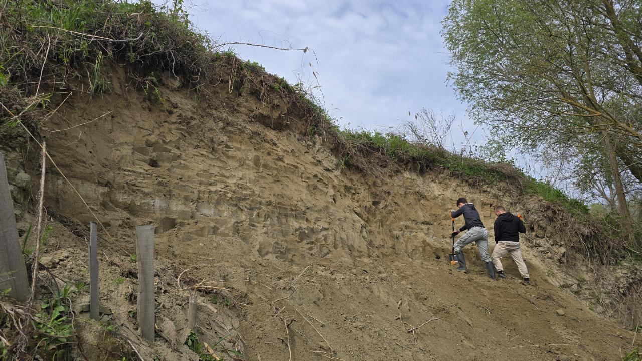 RRI-1: Riparia: Restoring River Nesting Grounds