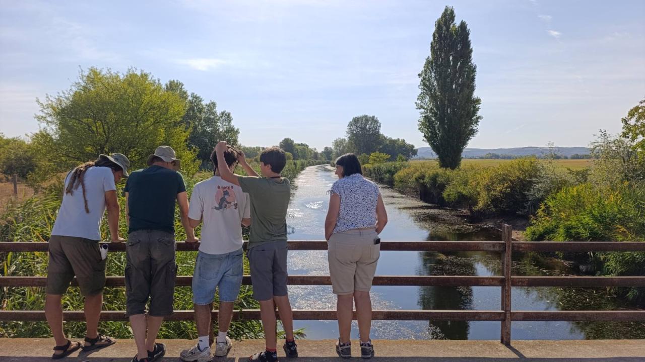 DANUBEdragonCONSERVATION: Field trip to Slovakia